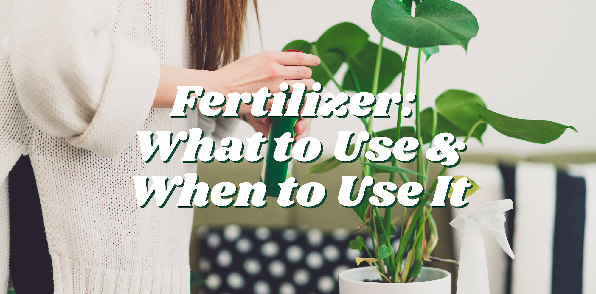 Fertilizer: What to Use & When to Use It