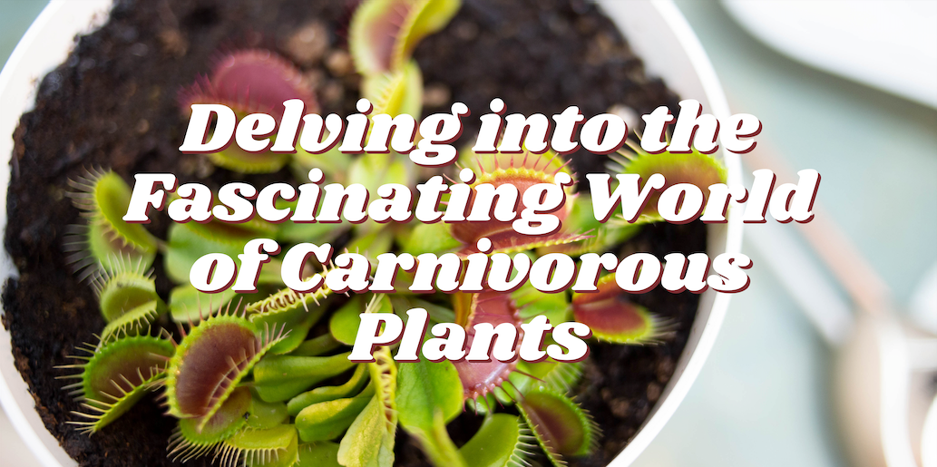 Delving into the Fascinating World of Carnivorous Plants
