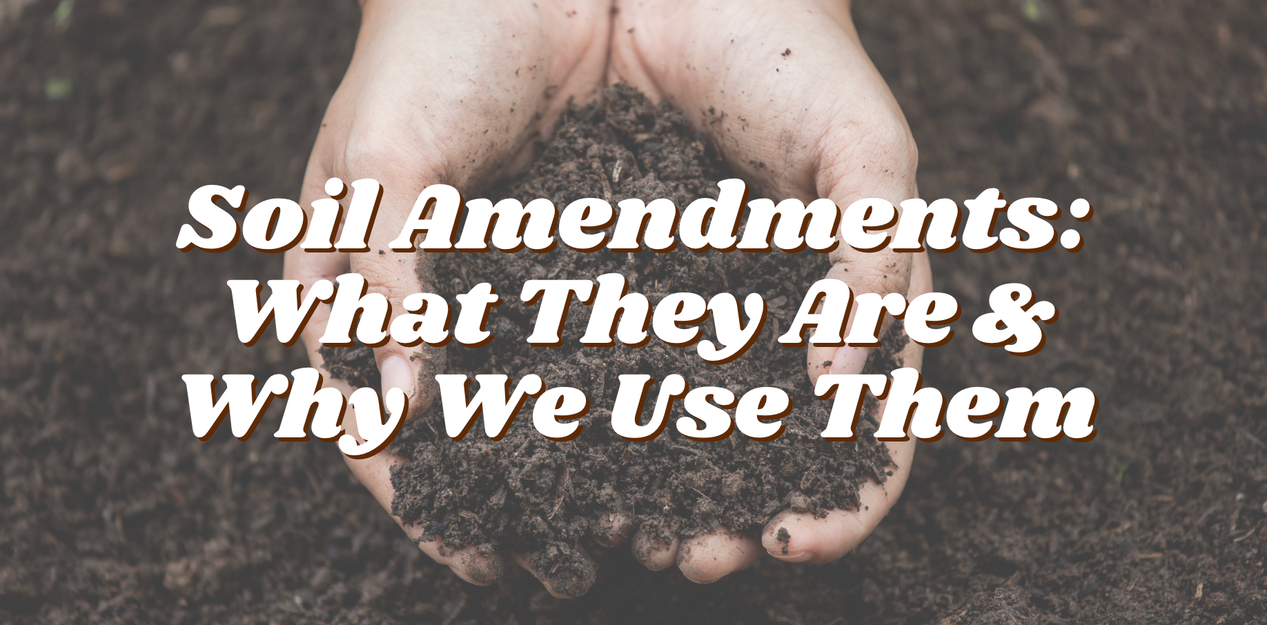Soil Amendments: What They Are & Why We Use Them