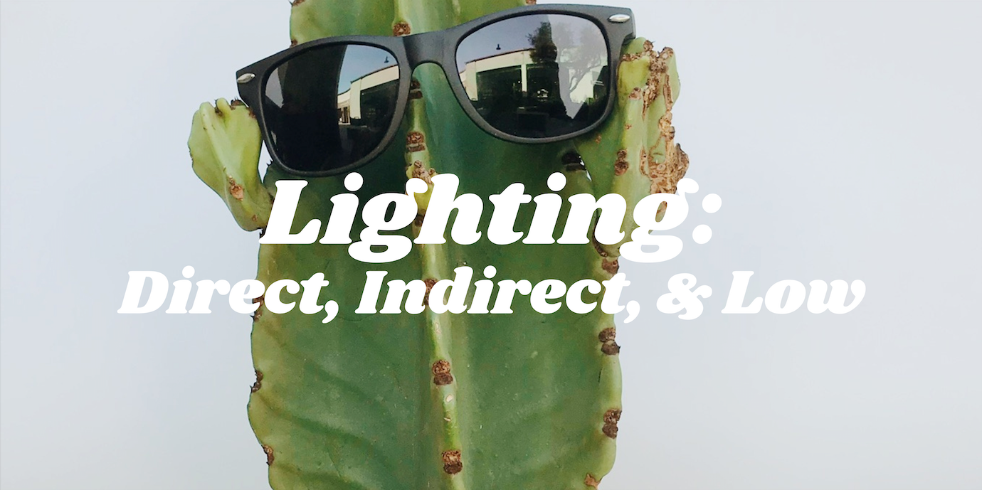 Lighting: Direct, Indirect, & Low