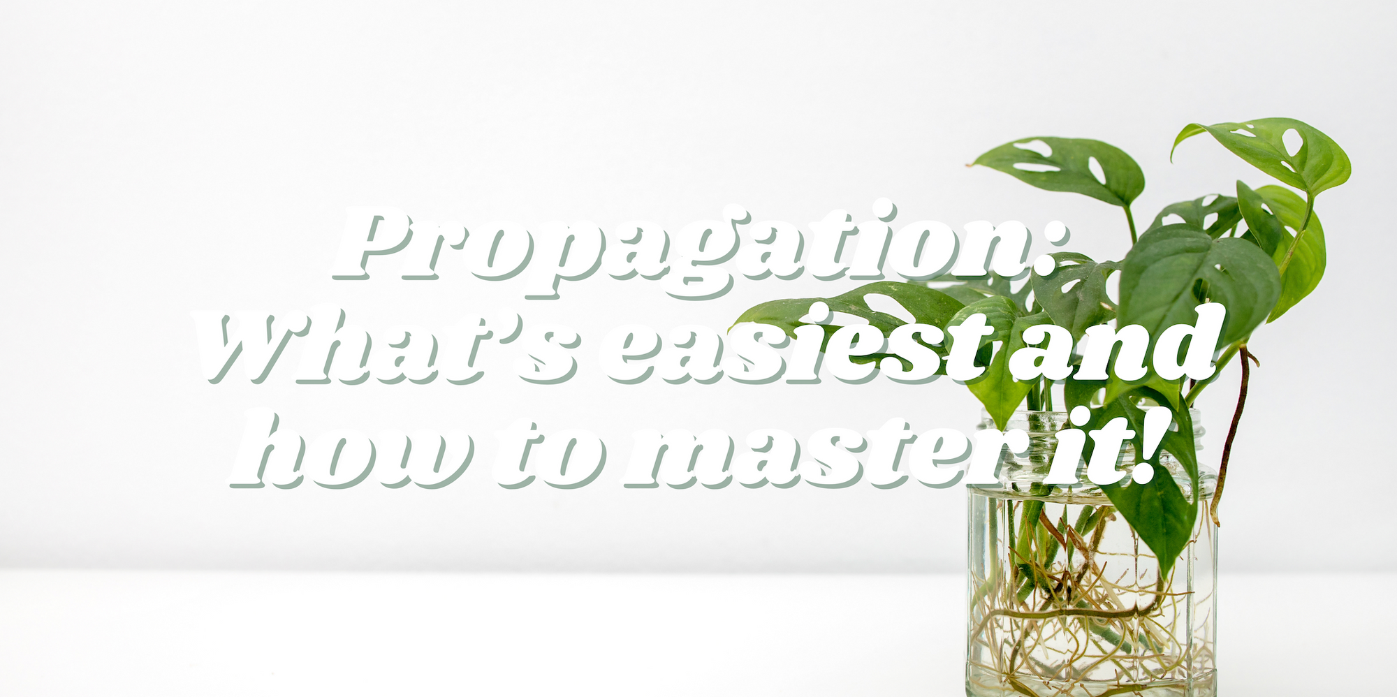 Propagation: What’s easiest and how to master it!
