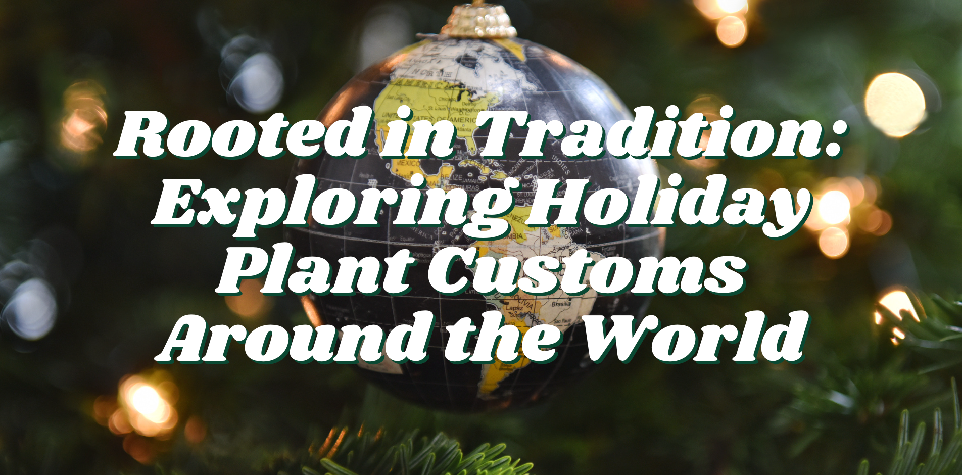 Rooted in Tradition: Exploring Holiday Plant Customs Around the World