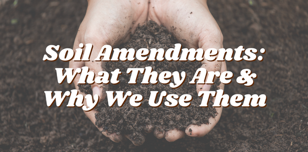 Soil Amendments What They Are Why We Use Them Riza Plants Soil Amendments What They Are Why We Use Them Riza Plants