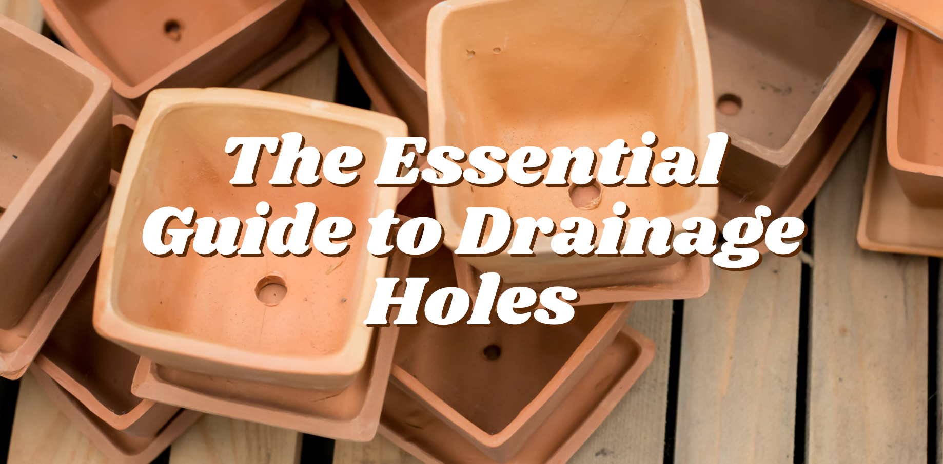 The Essential Guide to Drainage Holes