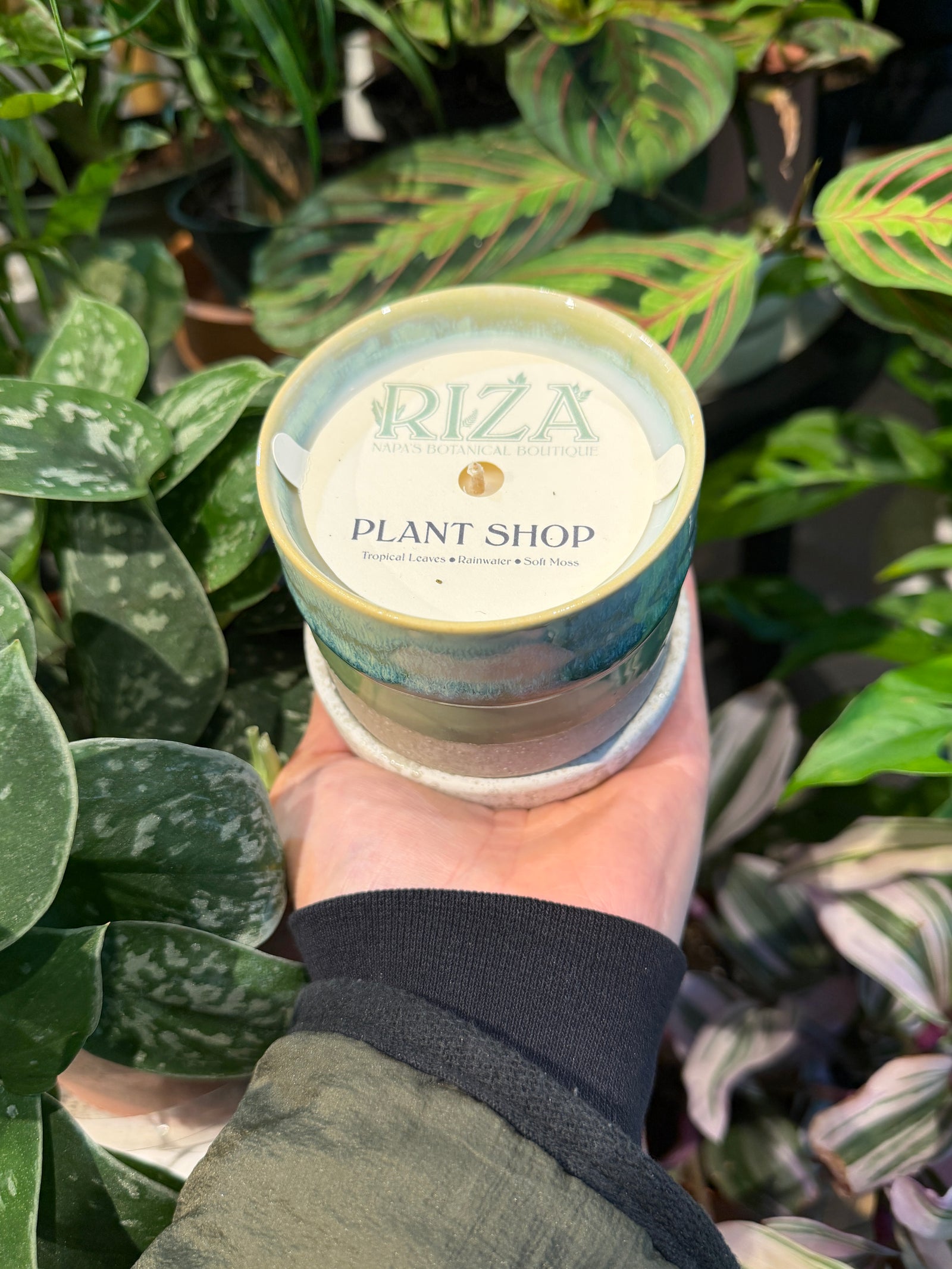 RIZA Plant Shop Candle / Pot