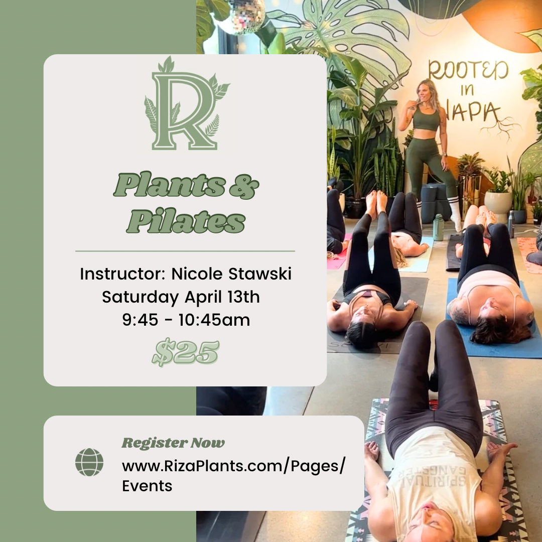 Plants & Pilates