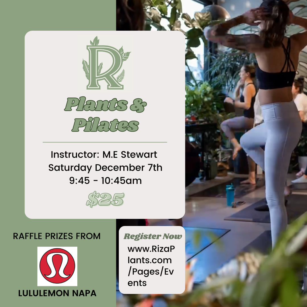 Plants & Pilates