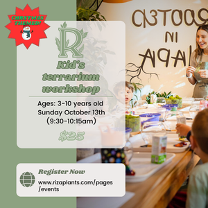 Kid's Terrarium Workshop