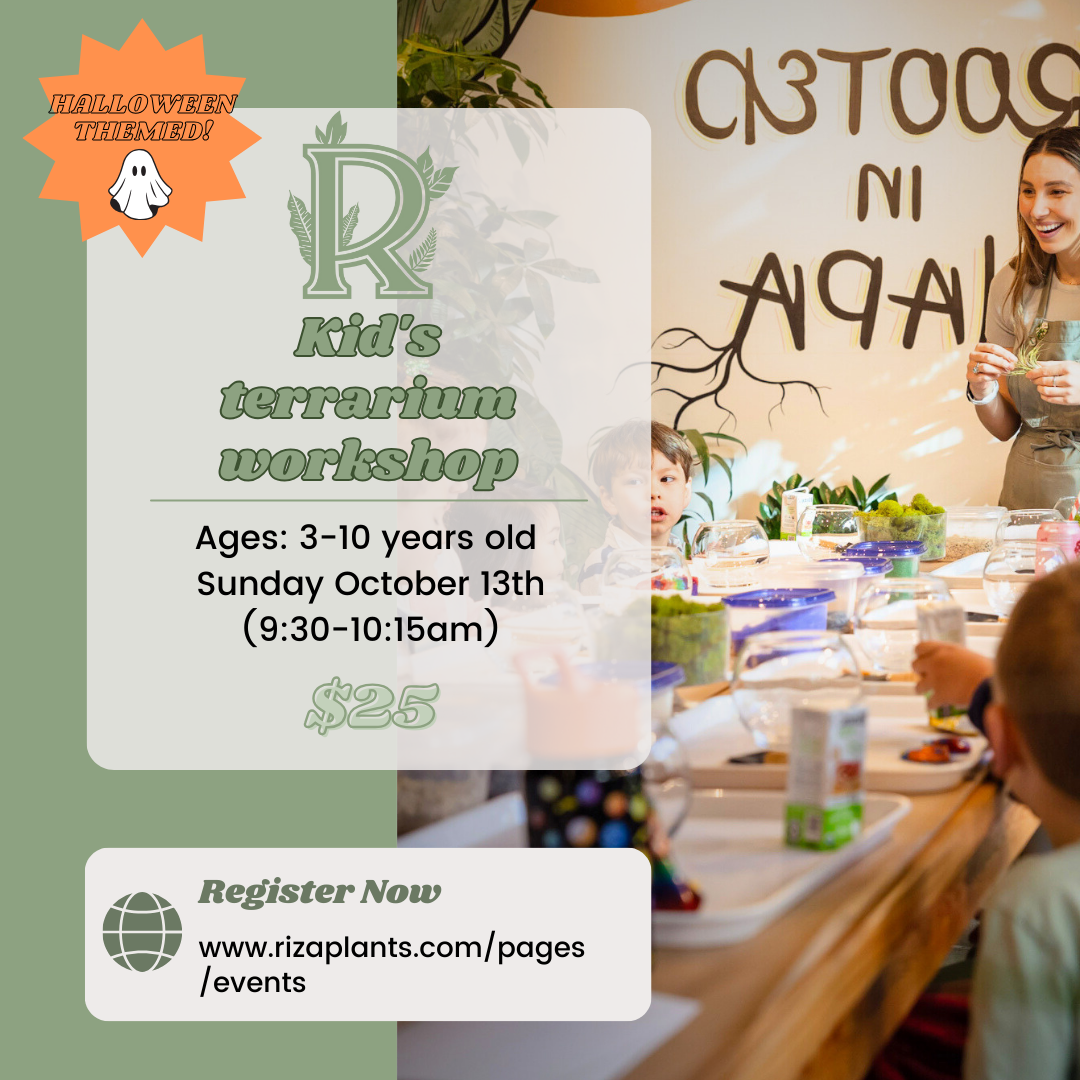 Kid's Terrarium Workshop