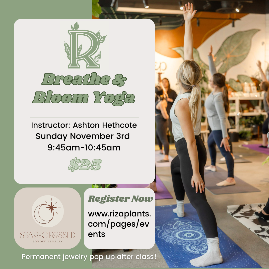 Breathe & Bloom Yoga