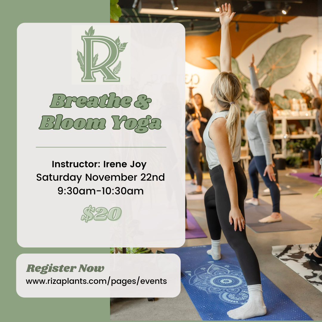 Breathe & Bloom Yoga