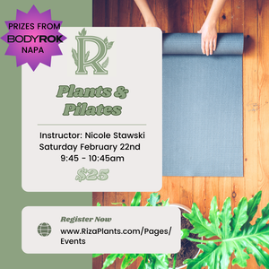 Plants & Pilates