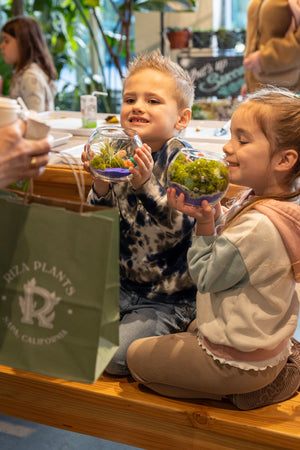 Kid's Terrarium Workshop